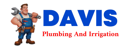 Trusted plumber in DOLA